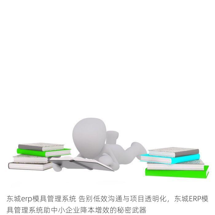 东城erp模具管理系统 告别低效沟通与项目透明化，东城ERP模具管理系统助中小企业降本增效的秘密武器