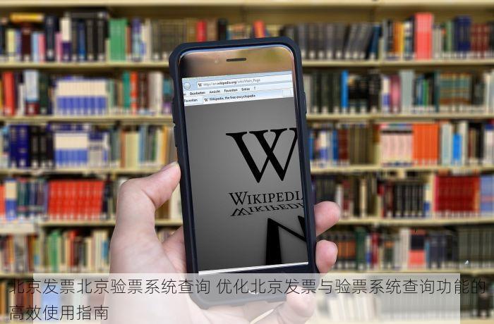 北京发票北京验票系统查询 优化北京发票与验票系统查询功能的高效使用指南