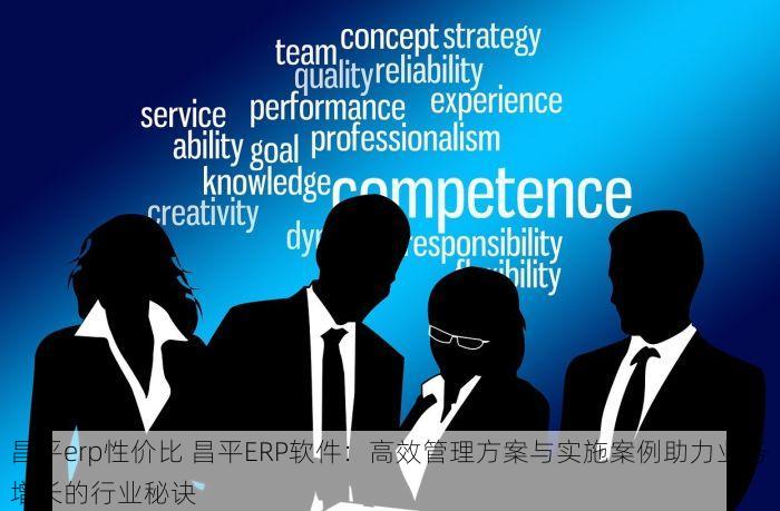昌平erp性价比 昌平ERP软件：高效管理方案与实施案例助力业务增长的行业秘诀