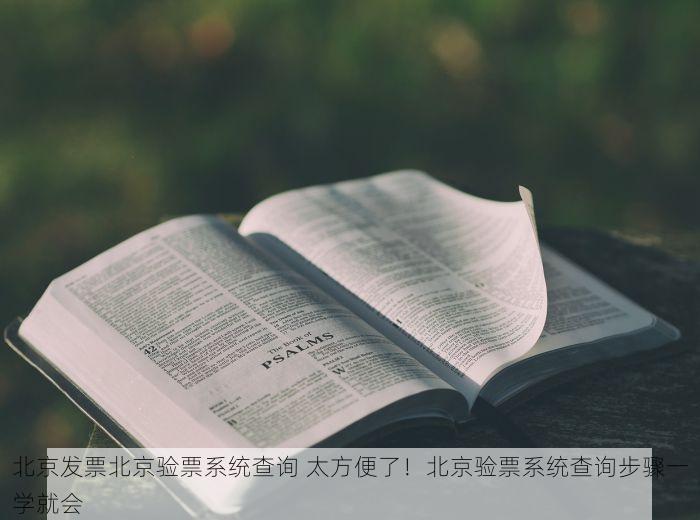 北京发票北京验票系统查询 太方便了！北京验票系统查询步骤一学就会