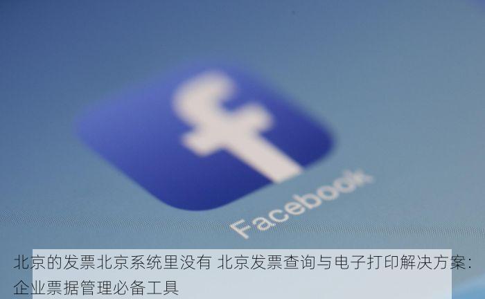 北京的发票北京系统里没有 北京发票查询与电子打印解决方案：企业票据管理必备工具
