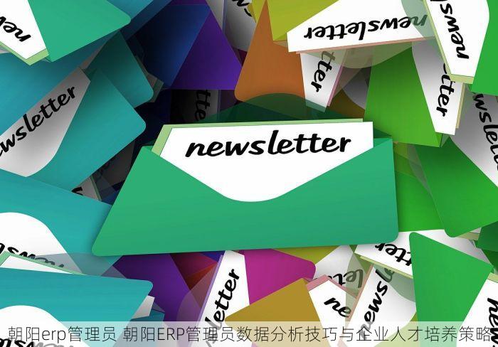 朝阳erp管理员 朝阳ERP管理员数据分析技巧与企业人才培养策略