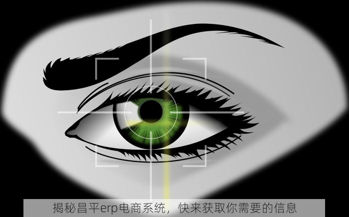 揭秘昌平erp电商系统，快来获取你需要的信息