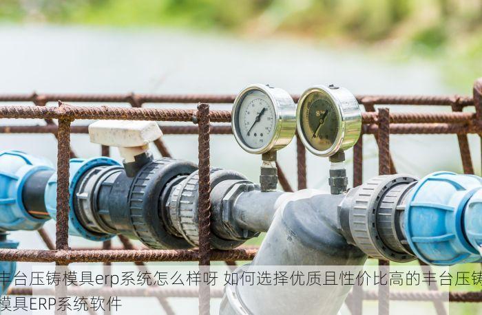 丰台压铸模具erp系统怎么样呀 如何选择优质且性价比高的丰台压铸模具ERP系统软件