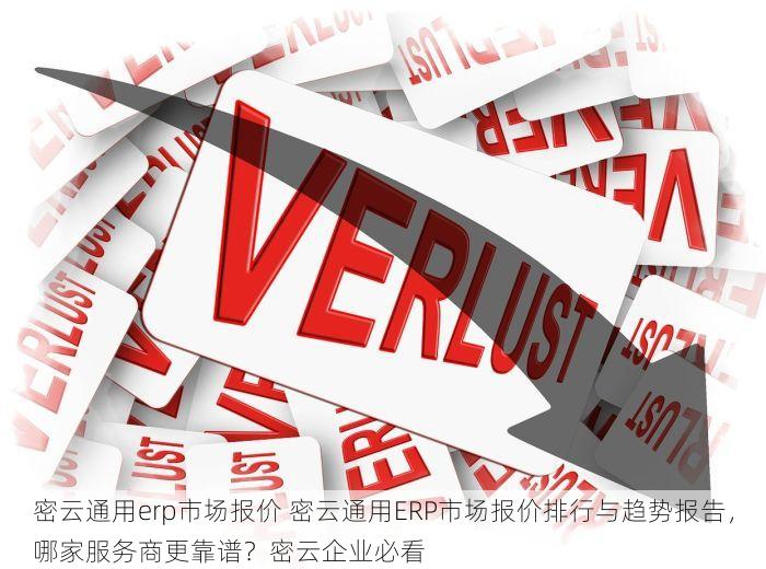 密云通用erp市场报价 密云通用ERP市场报价排行与趋势报告，哪家服务商更靠谱？密云企业必看