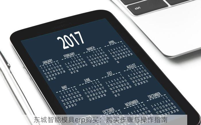 东城智能模具erp购买：购买步骤与操作指南