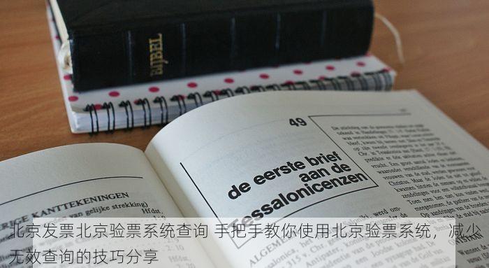 北京发票北京验票系统查询 手把手教你使用北京验票系统，减少无效查询的技巧分享