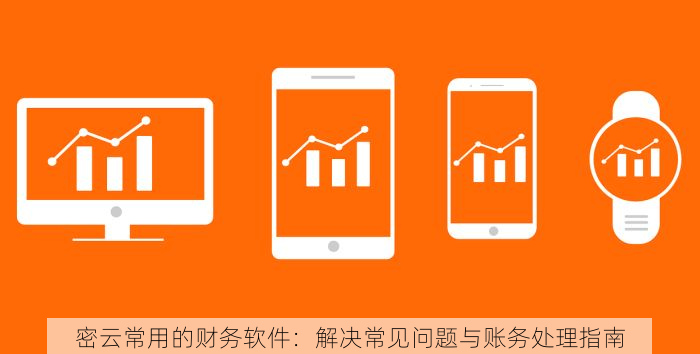 密云常用的财务软件：解决常见问题与账务处理指南