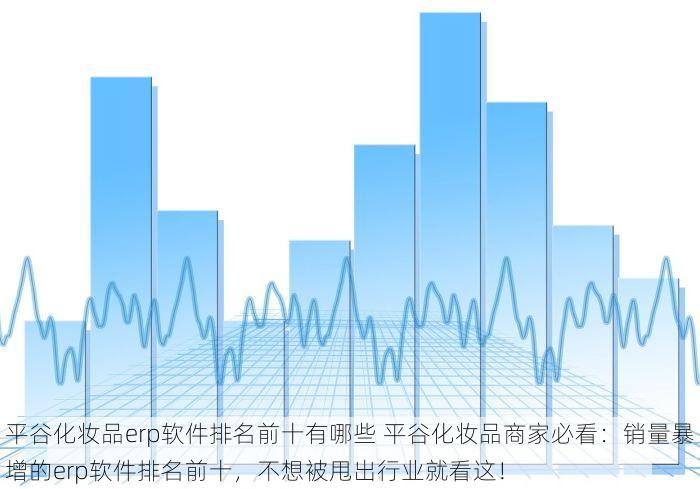 平谷化妆品erp软件排名前十有哪些 平谷化妆品商家必看：销量暴增的erp软件排名前十，不想被甩出行业就看这！
