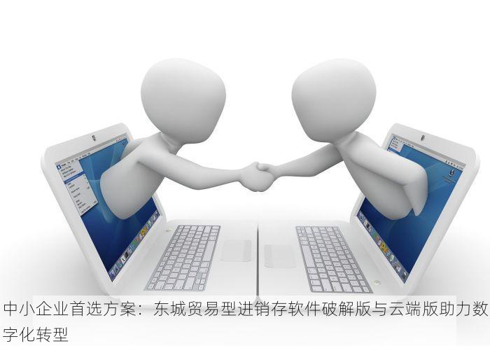 中小企业首选方案：东城贸易型进销存软件破解版与云端版助力数字化转型