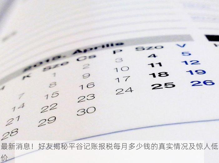 最新消息！好友揭秘平谷记账报税每月多少钱的真实情况及惊人低价
