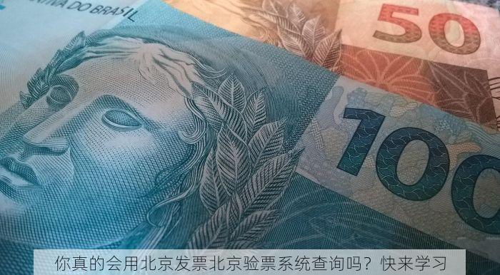 北京发票北京验票系统查询发票有问题？立即查询避坑指南！