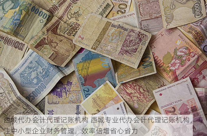 西城代办会计代理记账机构 西城专业代办会计代理记账机构，专注中小型企业财务管理，效率倍增省心省力