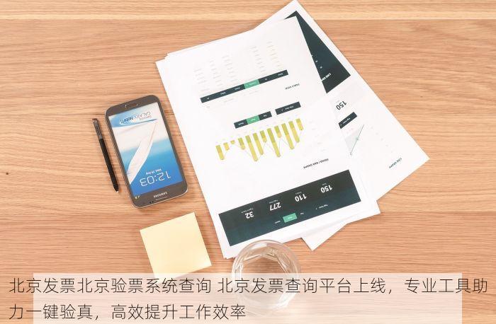 北京发票北京验票系统查询 北京发票查询平台上线，专业工具助力一键验真，高效提升工作效率
