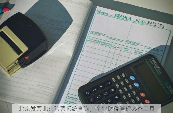 北京发票北京验票系统查询，企业财税管理必备工具