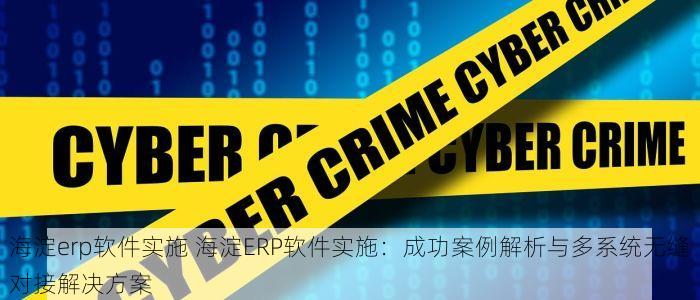 海淀erp软件实施 海淀ERP软件实施：成功案例解析与多系统无缝对接解决方案