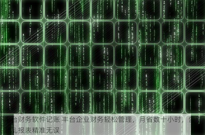丰台财务软件记账 丰台企业财务轻松管理，月省数十小时，告别混乱报表精准无误