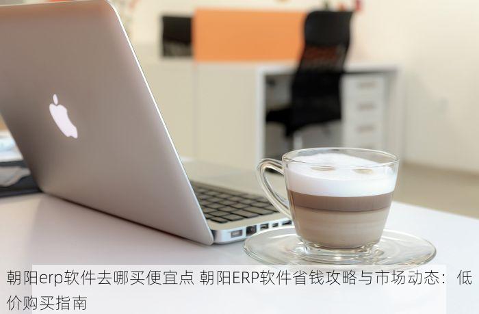 朝阳erp软件去哪买便宜点 朝阳ERP软件省钱攻略与市场动态：低价购买指南