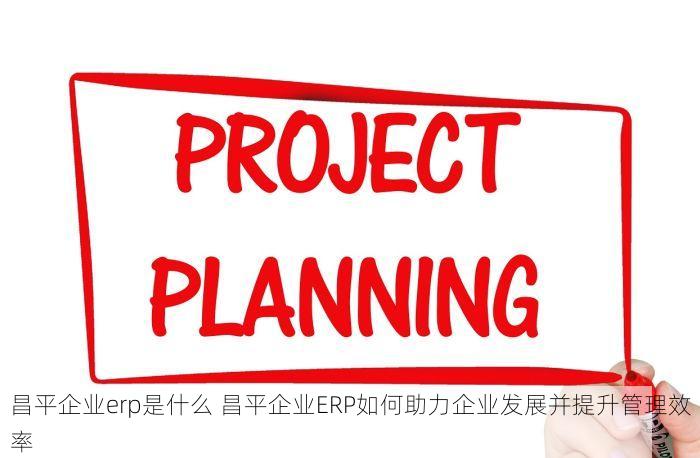 昌平企业erp是什么 昌平企业ERP如何助力企业发展并提升管理效率
