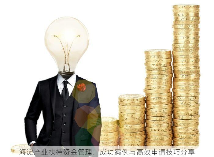 海淀产业扶持资金管理：成功案例与高效申请技巧分享