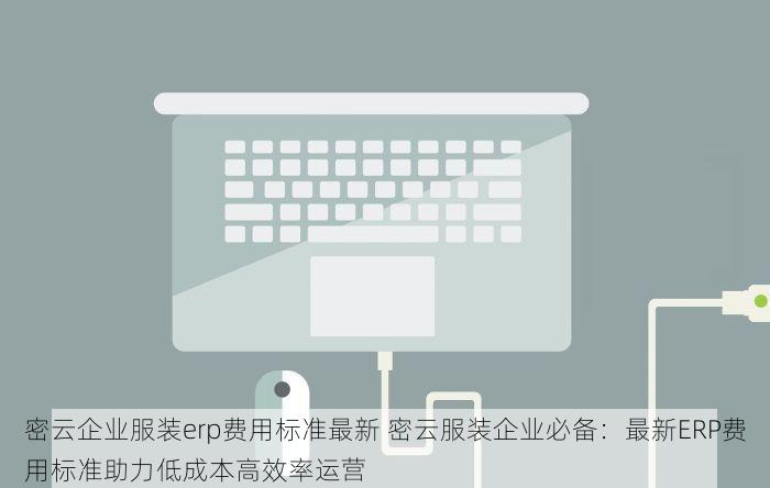 密云企业服装erp费用标准最新 密云服装企业必备：最新ERP费用标准助力低成本高效率运营