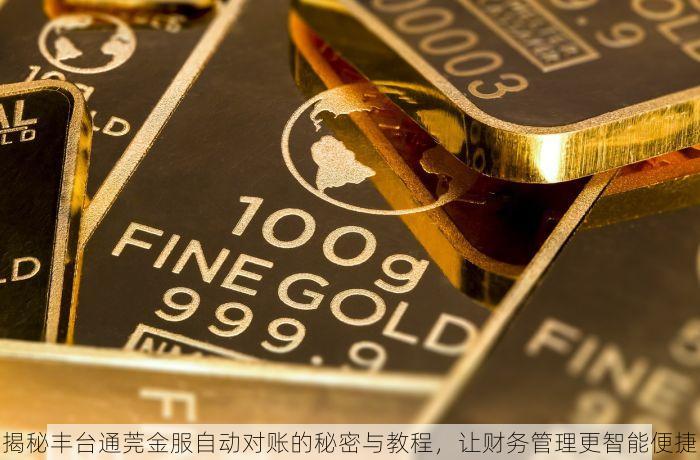 揭秘丰台通莞金服自动对账的秘密与教程，让财务管理更智能便捷