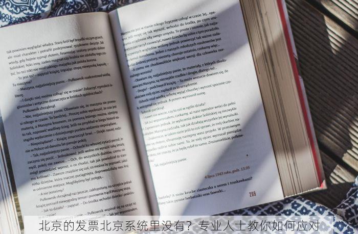 北京的发票北京系统里没有？专业人士教你如何应对