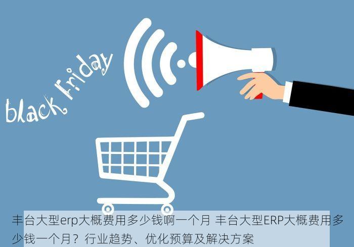 丰台大型erp大概费用多少钱啊一个月 丰台大型ERP大概费用多少钱一个月？行业趋势、优化预算及解决方案