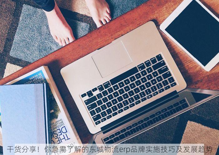 干货分享！你急需了解的东城物流erp品牌实施技巧及发展趋势