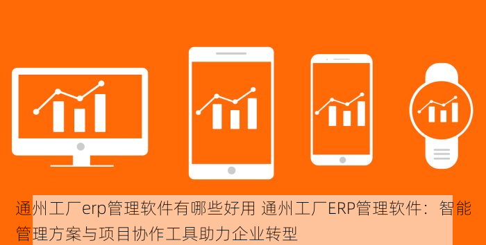 通州工厂erp管理软件有哪些好用 通州工厂ERP管理软件：智能管理方案与项目协作工具助力企业转型