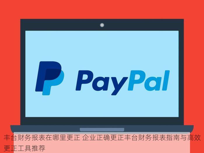 丰台财务报表在哪里更正 企业正确更正丰台财务报表指南与高效更正工具推荐