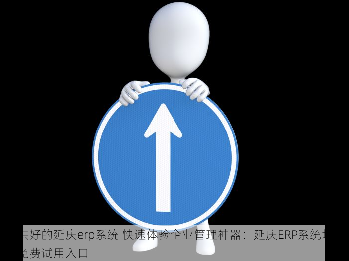 提供好的延庆erp系统 快速体验企业管理神器：延庆ERP系统培训与免费试用入口