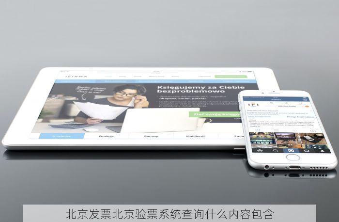 北京发票北京验票系统查询什么内容包含