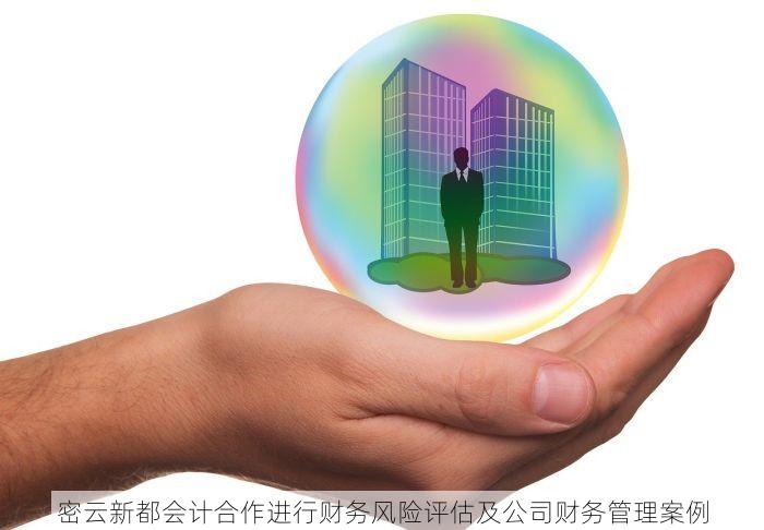 密云新都会计合作进行财务风险评估及公司财务管理案例