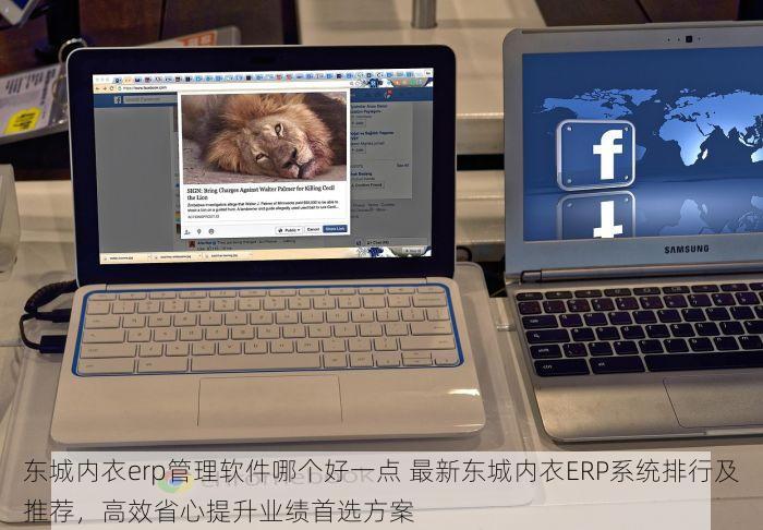 东城内衣erp管理软件哪个好一点 最新东城内衣ERP系统排行及推荐，高效省心提升业绩首选方案