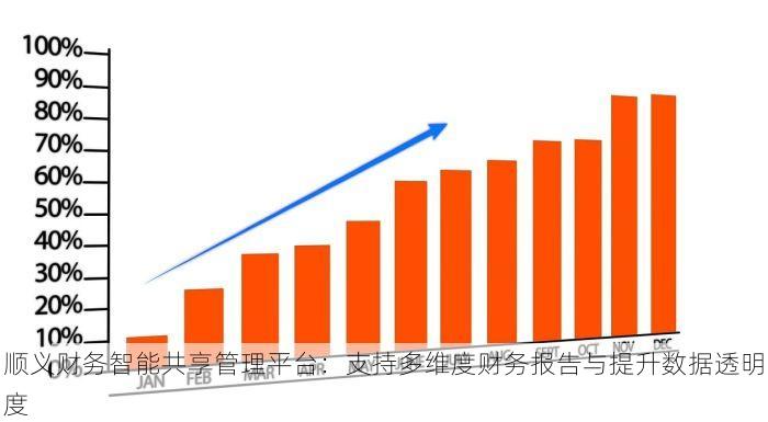 顺义财务智能共享管理平台：支持多维度财务报告与提升数据透明度