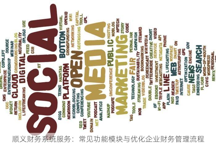顺义财务系统服务：常见功能模块与优化企业财务管理流程
