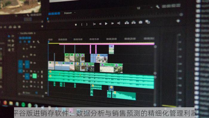 平谷版进销存软件：数据分析与销售预测的精细化管理利器