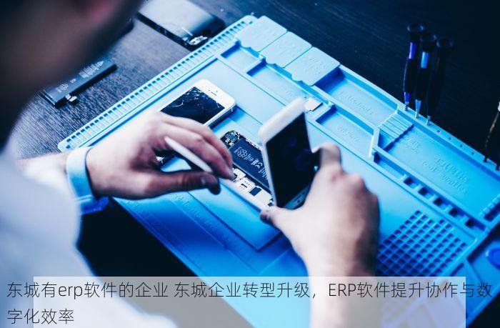 东城有erp软件的企业 东城企业转型升级，ERP软件提升协作与数字化效率