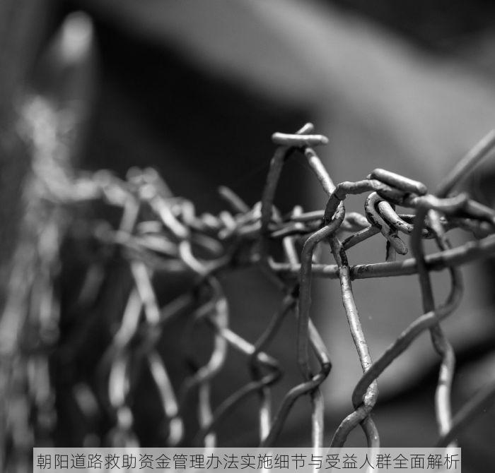 朝阳道路救助资金管理办法实施细节与受益人群全面解析