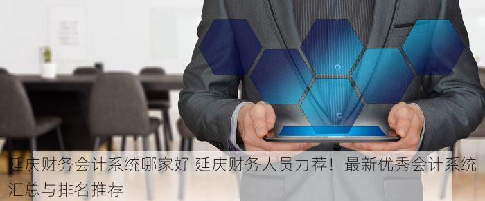 延庆财务会计系统哪家好 延庆财务人员力荐！最新优秀会计系统汇总与排名推荐