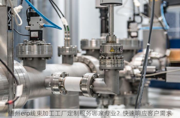 通州erp线束加工工厂定制服务哪家专业？快速响应客户需求