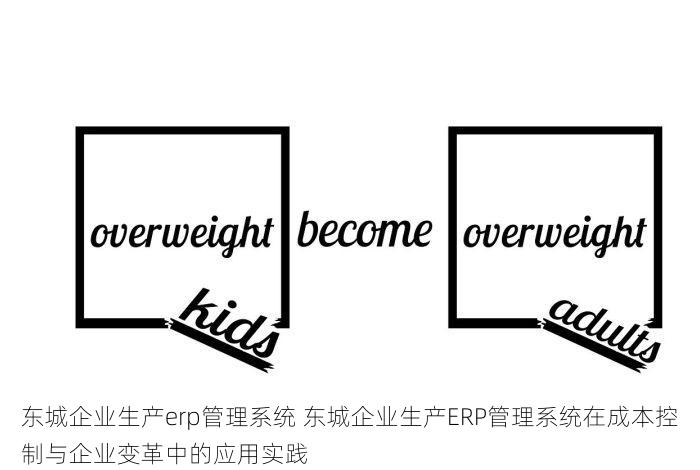东城企业生产erp管理系统 东城企业生产ERP管理系统在成本控制与企业变革中的应用实践