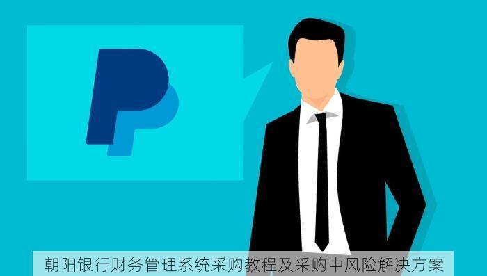 朝阳银行财务管理系统采购教程及采购中风险解决方案