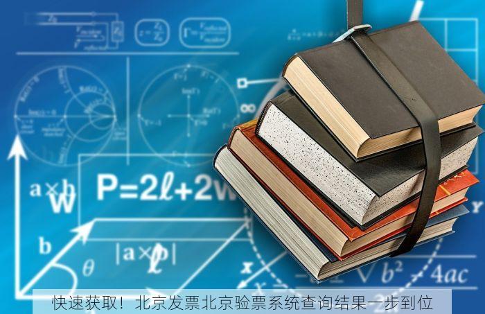 快速获取！北京发票北京验票系统查询结果一步到位