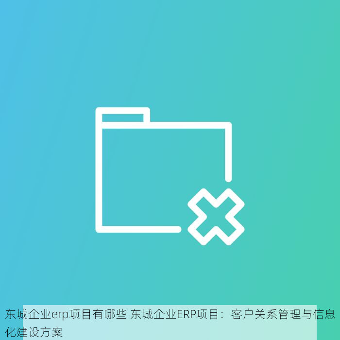 东城企业erp项目有哪些 东城企业ERP项目：客户关系管理与信息化建设方案