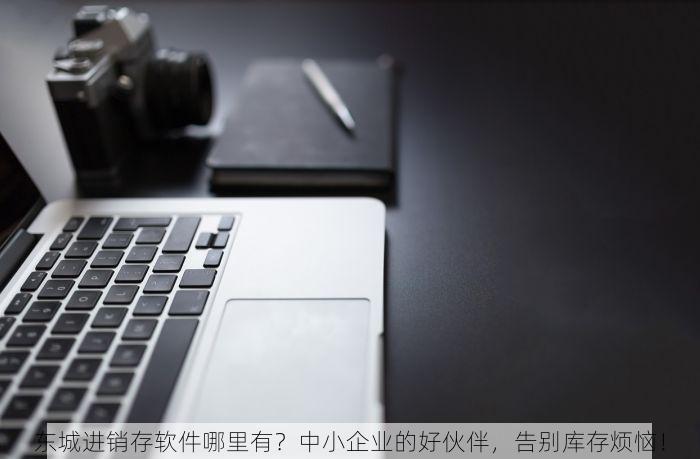 东城进销存软件哪里有？中小企业的好伙伴，告别库存烦恼！