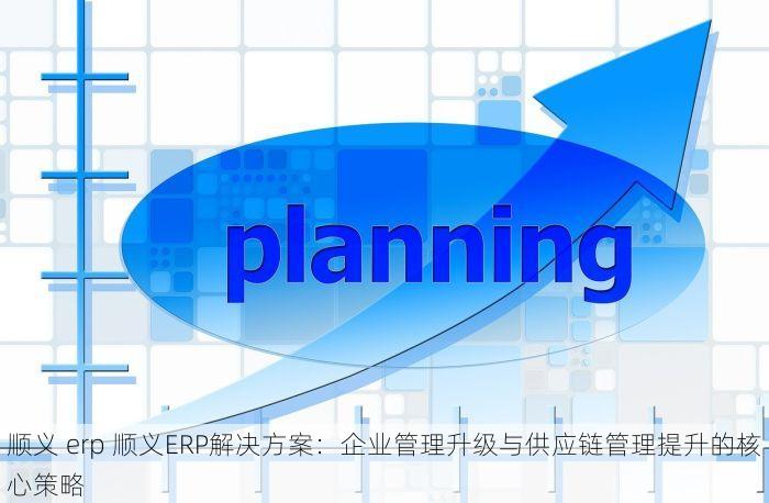 顺义 erp 顺义ERP解决方案：企业管理升级与供应链管理提升的核心策略