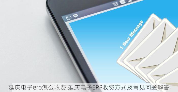 延庆电子erp怎么收费 延庆电子ERP收费方式及常见问题解答