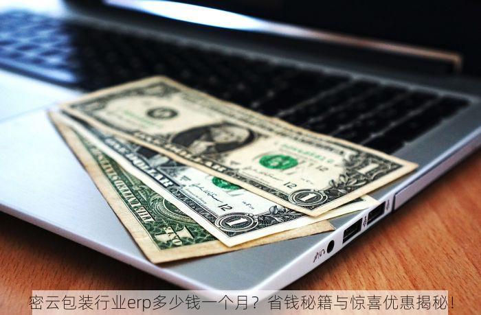 密云包装行业erp多少钱一个月？省钱秘籍与惊喜优惠揭秘！